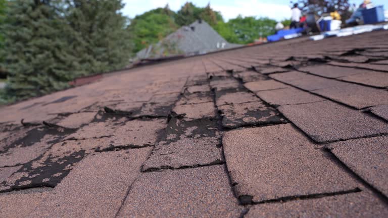 Best 4 Ply Roofing  in Tremont, PA