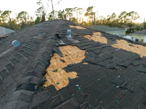 Best Green or Eco-Friendly Roofing Solutions  in Tremont, PA